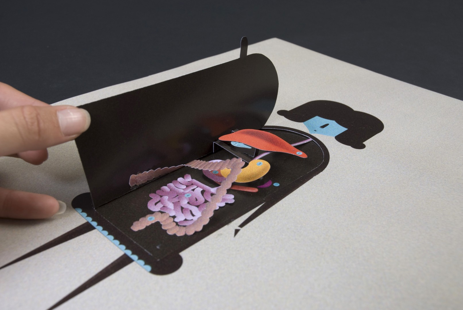 varina volk graphisme freelance paris identite edition siteweb