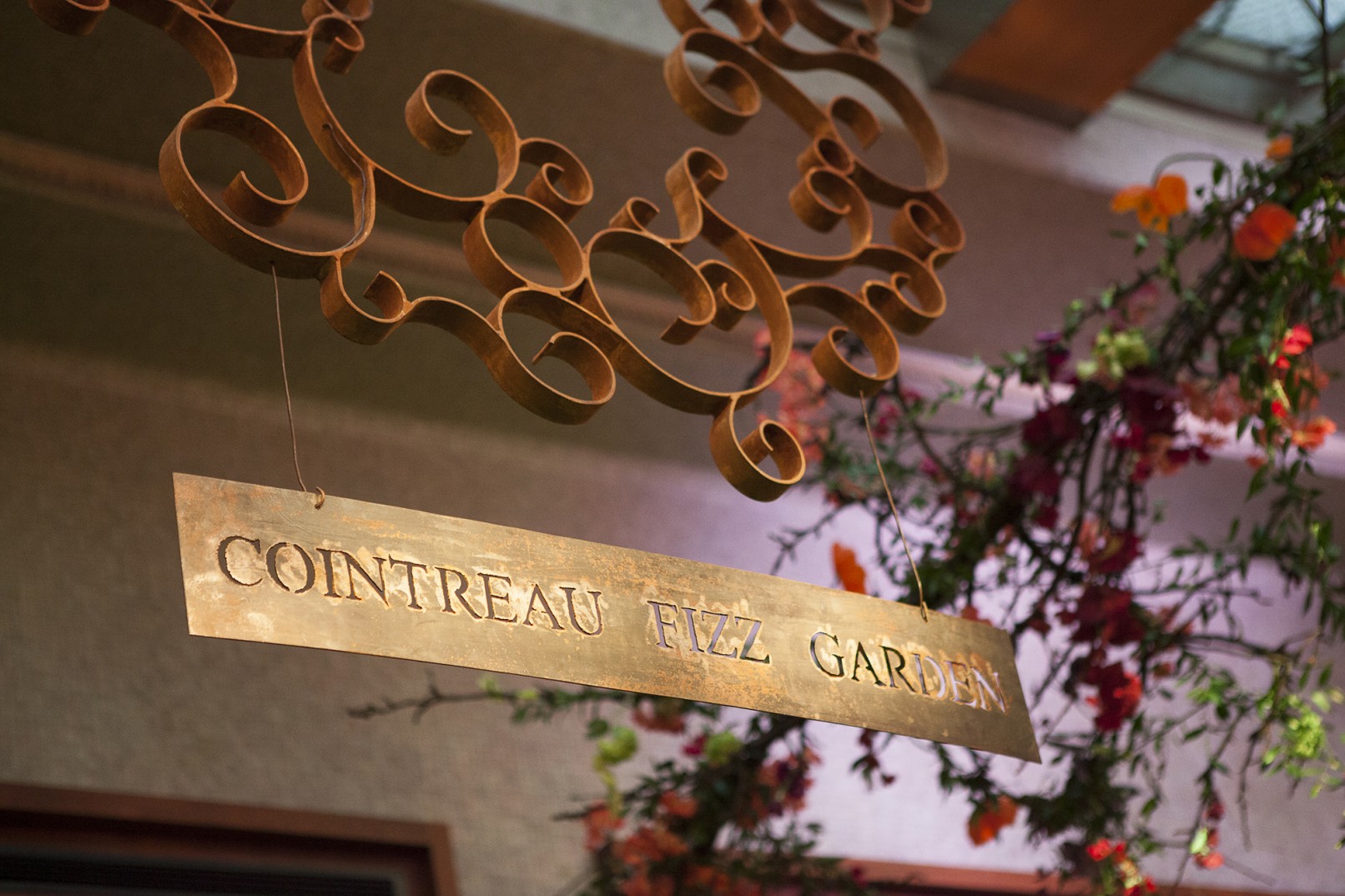 cointreau fizz garden identité bruxelles varina volk graphisme freelance paris